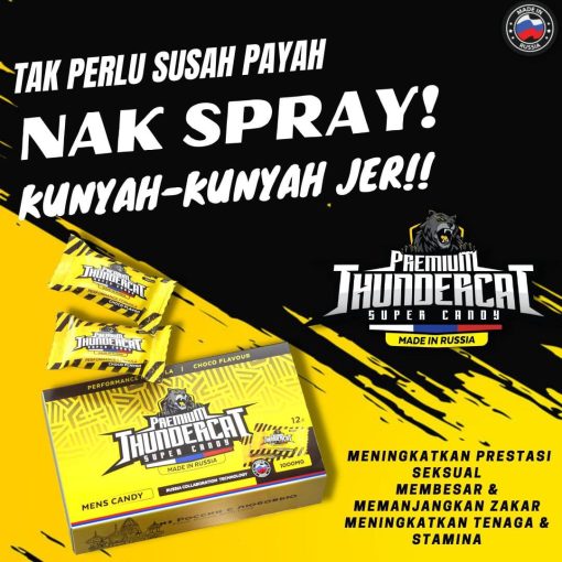 thunder cat
