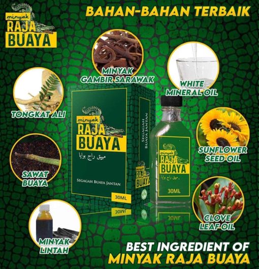 minyak raja buaya