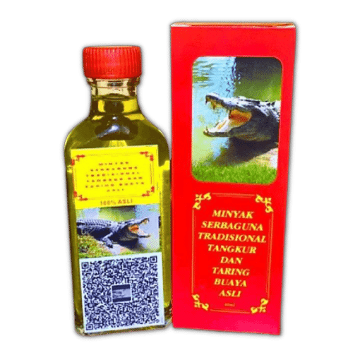 minyak tangkur dan taring buaya asli