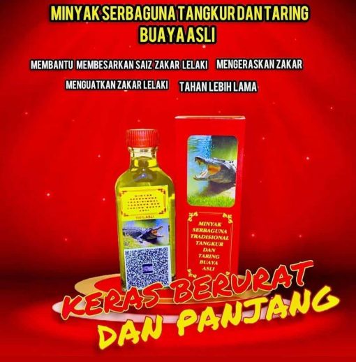 minyak tangkur buaya taring