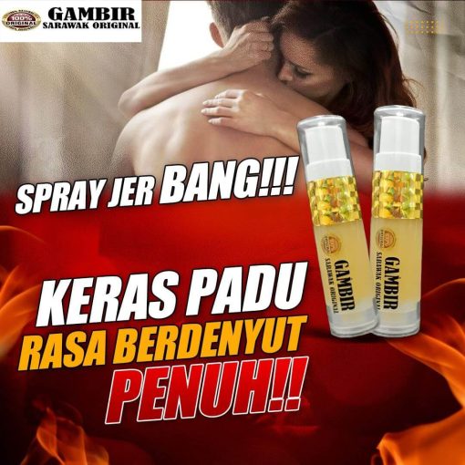 gambir sarawak original