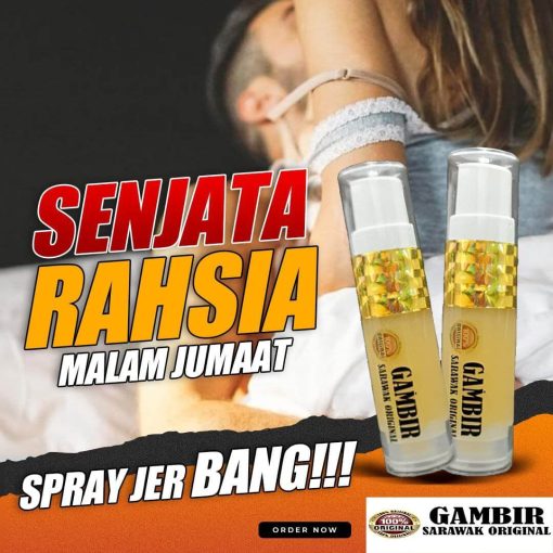 gambir sarawak original
